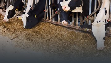 畜牧業(yè)-設備